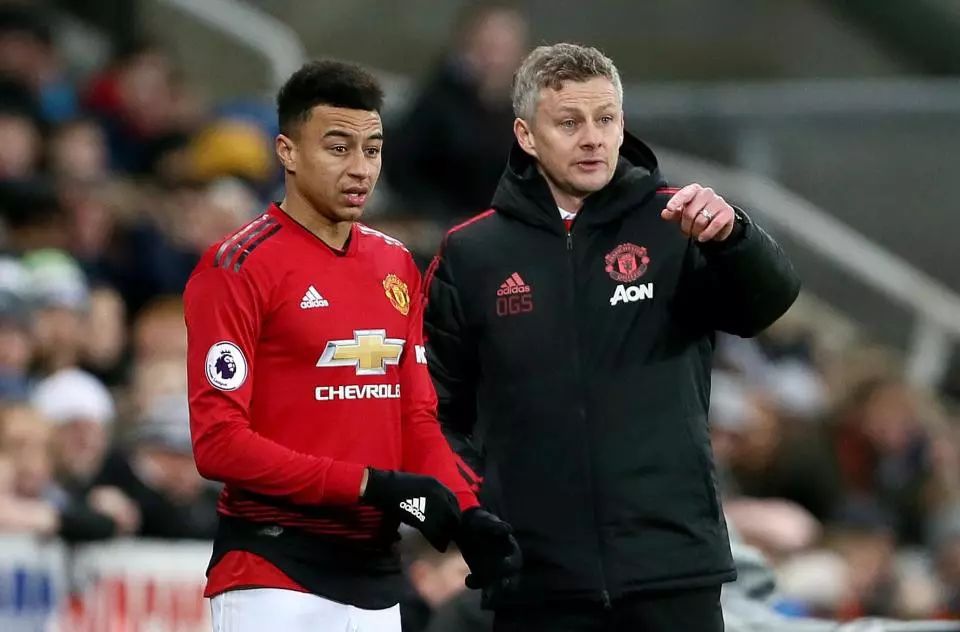 家队不仅仅 家队不仅仅